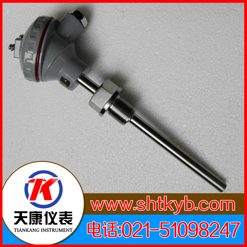 裝配式熱電偶WRF2-231